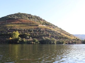 Alto Douro by Jakob Frenzel