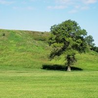Cahokia Mounds by Jay T