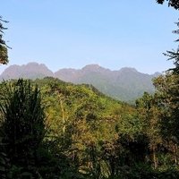 Rwenzori Mountains by Michael Ayers