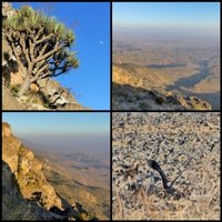 Smahan's Mountain Nature Reserve by Clyde