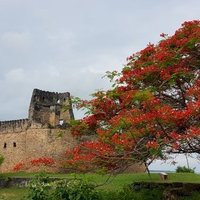 Ruins of Kilwa Kisiwani and Songo Mnara by Wojciech Fedoruk