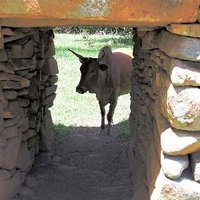 Thimlich Ohinga by Michael Ayers