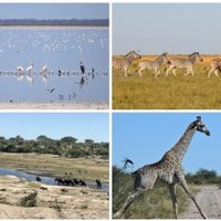 Makgadikgadi Pans Landscape by Randi Thomsen