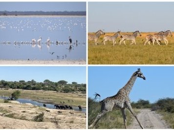 Makgadikgadi Pans Landscape by Randi Thomsen