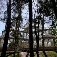 Paseo del Prado and Buen Retiro by Jakob Frenzel