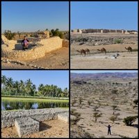 Land of Frankincense by Clyde