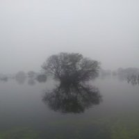 Keoladeo National Park by Nan