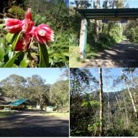 Talamanca Range-La Amistad Reserves by Jarek Pokrzywnicki