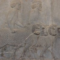 Persepolis by Aspasia