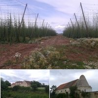 Žatec – Landscape of Hops by Matejicek