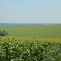 The Typical Crernozem Soils of the Balti Steppe by Jarek Pokrzywnicki