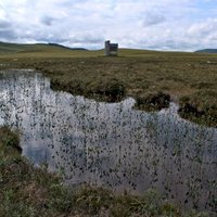 The Flow Country by James Bowyer