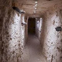 Krzemionki prehistoric flint mines by Nan