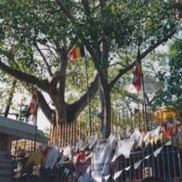 Anuradhapura by Els Slots