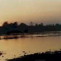 Chitwan National Park by Els Slots