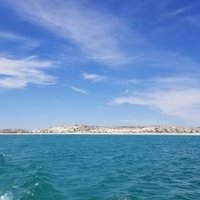 Ningaloo Coast by Zoë Sheng