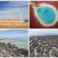 Shark Bay by Zoë Sheng