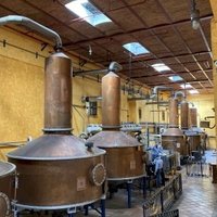 Tequila by Els Slots