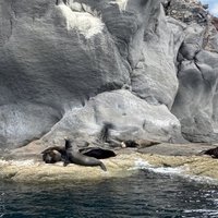 Gulf of California by Els Slots