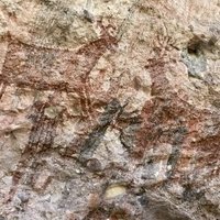 Rock Paintings of the Sierra de San Francisco by Els Slots