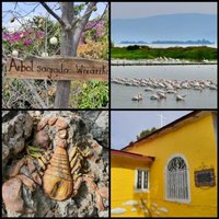 Huichol Route through Sacred Sites to Huiricuta by Clyde