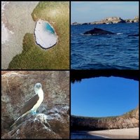 Gulf of California by Clyde