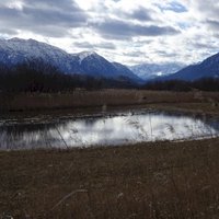 Alpine and pre-alpine meadow and marsh landscapes by Ralf Regele
