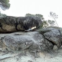 Rock Art of the Mediterranean Basin by Caspar Dechmann