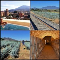 Tequila by Clyde