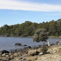 Tasmanian Wilderness by Els Slots