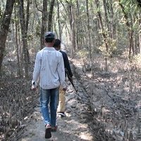 The Sundarbans by Els Slots