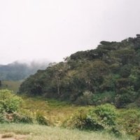 Central Highlands by Els Slots