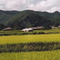 Hahoe and Yangdong by Els Slots