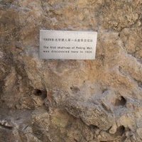 Peking Man Site by Els Slots