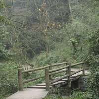 Sichuan Giant Panda Sanctuaries by Els Slots