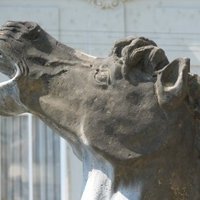 Holy Trinity Column by Els Slots