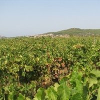 Stari Grad Plain by Els Slots