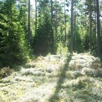 Sammallahdenmäki by Els Slots