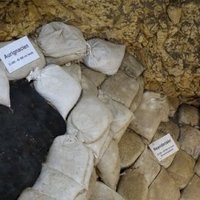 Caves and Ice Age Art by Els Slots