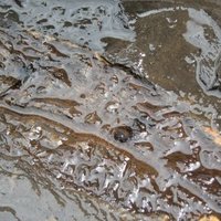 Messel Pit by Els Slots