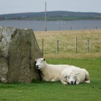 Neolithic Orkney by Els Slots