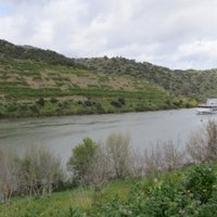 Alto Douro by Els Slots