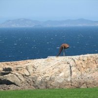 Tower of Hercules by Els Slots