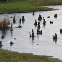 Prehistoric Pile Dwellings by Els Slots