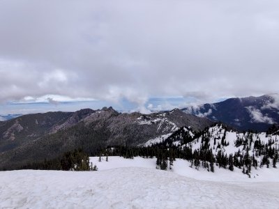 Olympic National Park by Dennis Nicklaus