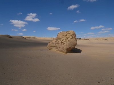 Wadi Al-Hitan by Nan