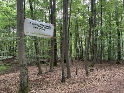Primeval Beech Forests by Adrian Turtschi