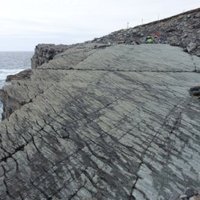 Mistaken Point by Els Slots