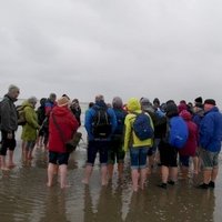 Wadden Sea by Nan
