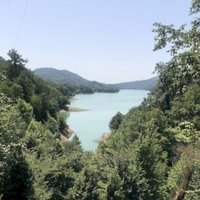 Hyrcanian Forests by Boj
